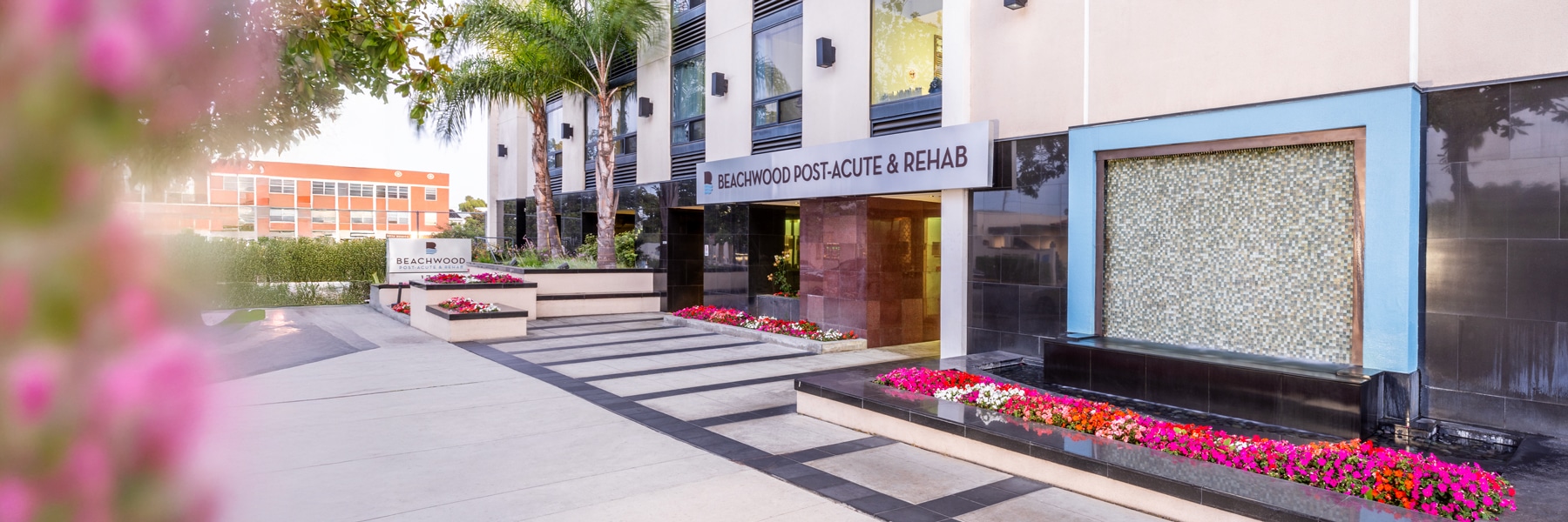 Desktop Background Image